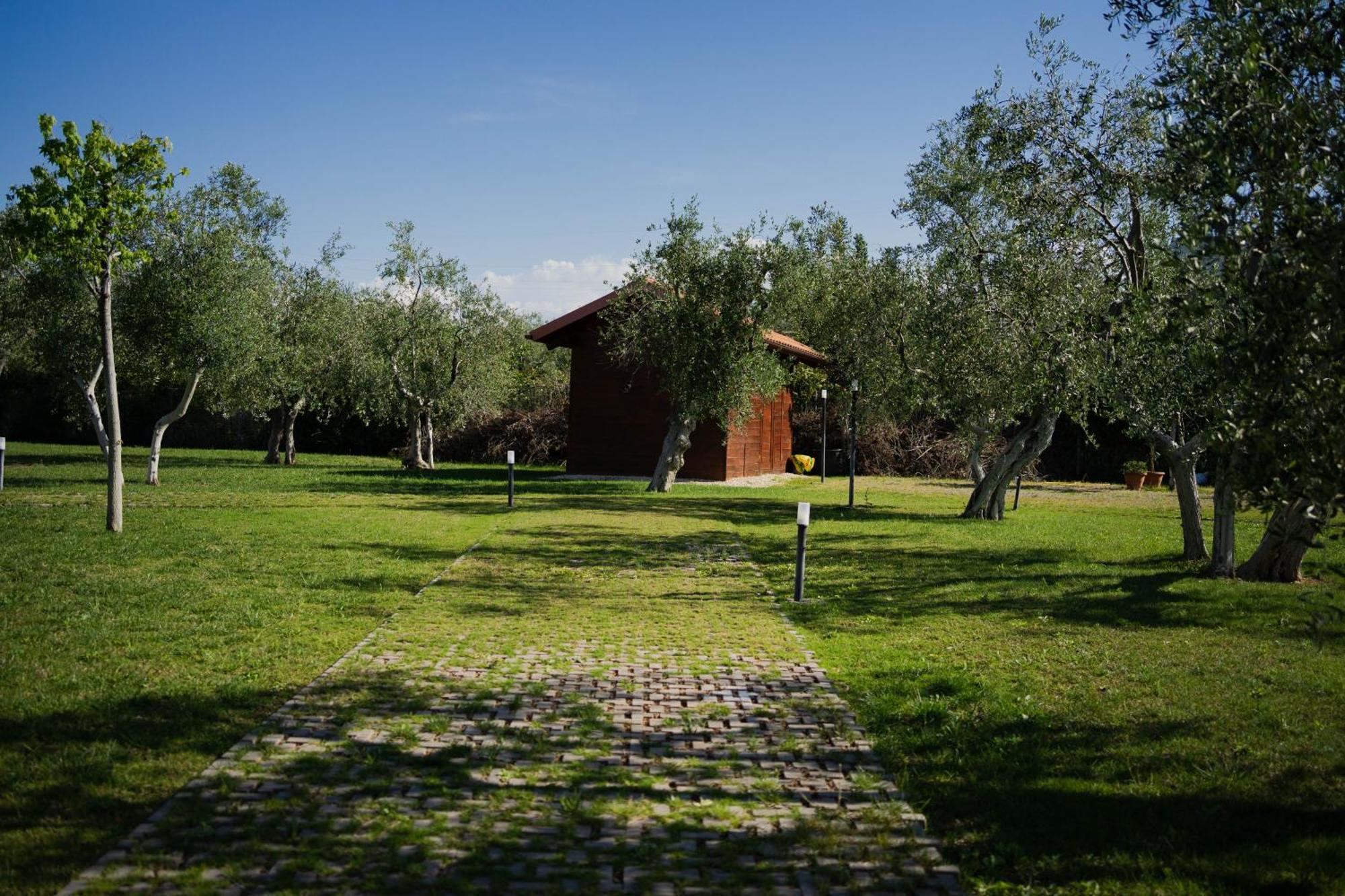 Villa Erada Bari Exterior foto